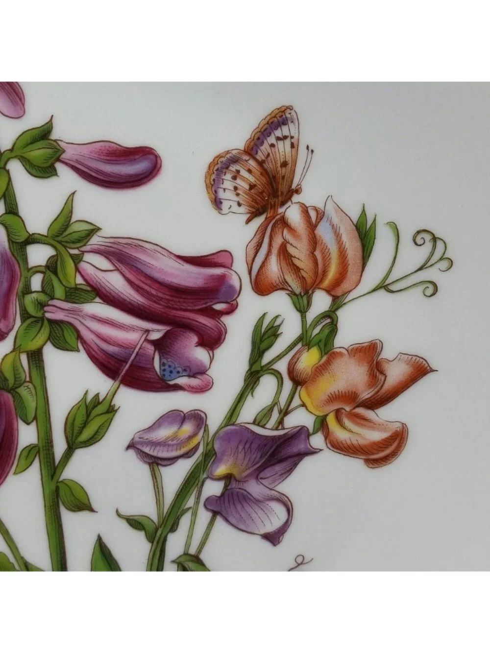 Bareuther Waldsassen Floral Butterfly Salad Plate Wildflower Series Germany 1980